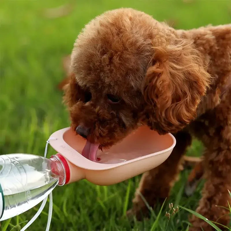 Dog Travel Water Bottle  Don't let your fur baby get overheated. These travel bowls make it super easy to keep them hydrated when they are out for a day of fun or travel. You can use these bowls with any water bottle.