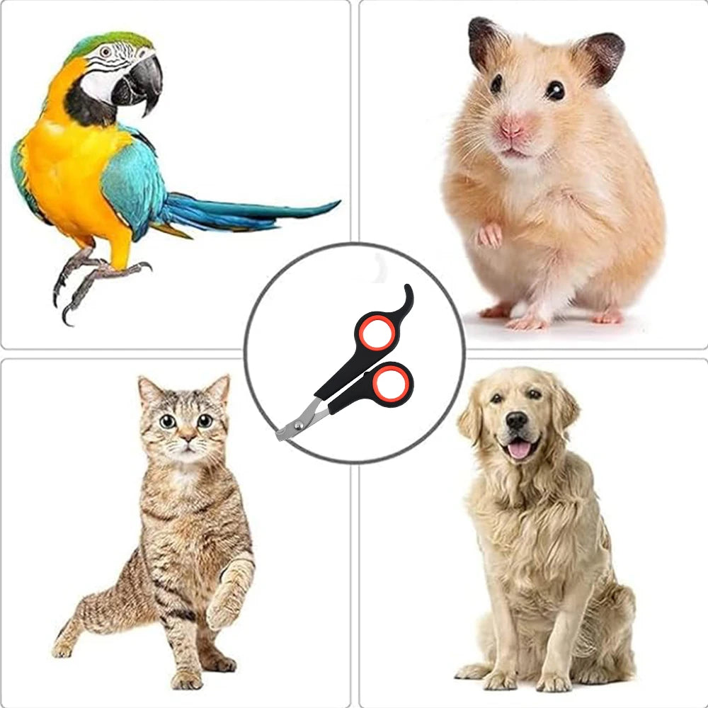 Pet Nail Claw Grooming Scissors Clippers   These quality made scissors can be used for the smallest of our furry friends. They  can be used for rabbits, ferrets, gerbils, chinchillas, or any of our smallest friends.