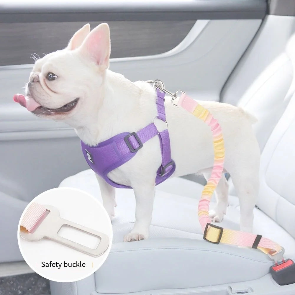 Pet Safety Belt for Dogs and Cats. With more Pet Parents taking their fur babies wherever they go this safety belt is a must have. We should protect our babies just like we protect ourselves.
