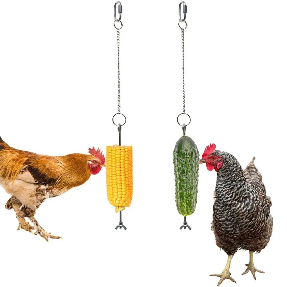 Avian Hanging Feeder   This Feeder Makes Feeding Any Avian Species a Breeze. It can be Used to Feed Your Indoor and Outdoor Pets.