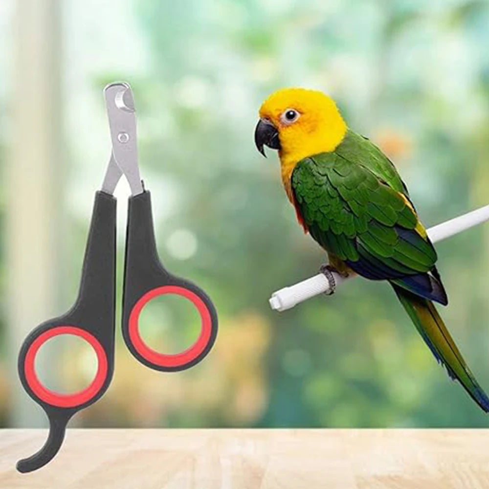 Pet Nail Claw Grooming Scissors Clippers   These quality made scissors can be used for the smallest of our furry friends. They  can be used for rabbits, ferrets, gerbils, chinchillas, or any of our smallest friends.