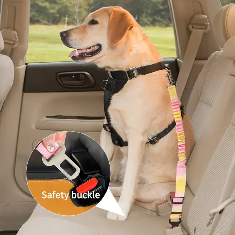 Pet Safety Belt for Dogs and Cats. With more Pet Parents taking their fur babies wherever they go this safety belt is a must have. We should protect our babies just like we protect ourselves.
