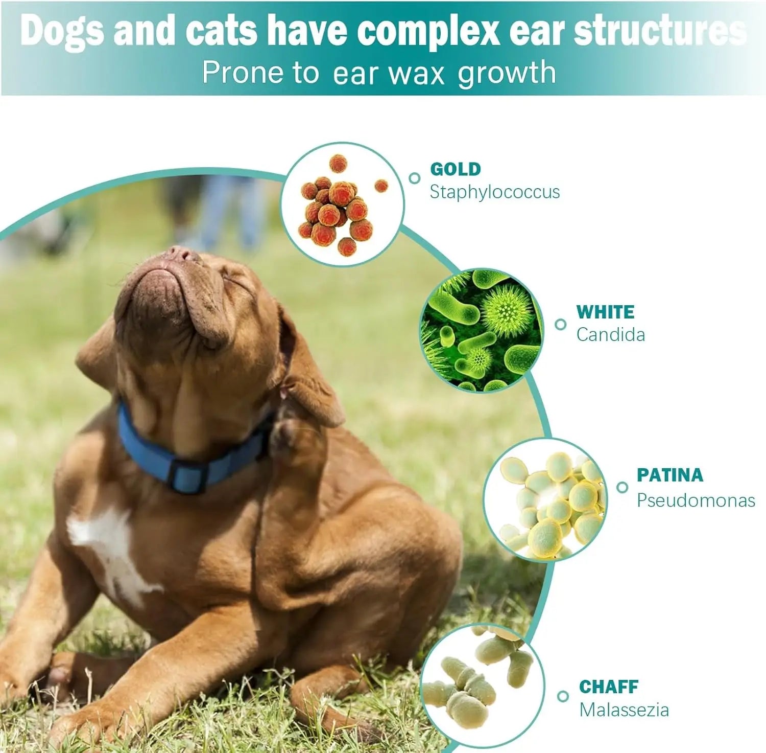 Ear Wipes, Ear Cleaner Finger Wipes for Cats and Dogs, Soft & Easy to use. Make cleaning your furry friends ears a breeze with these gentle cleaning wipes.