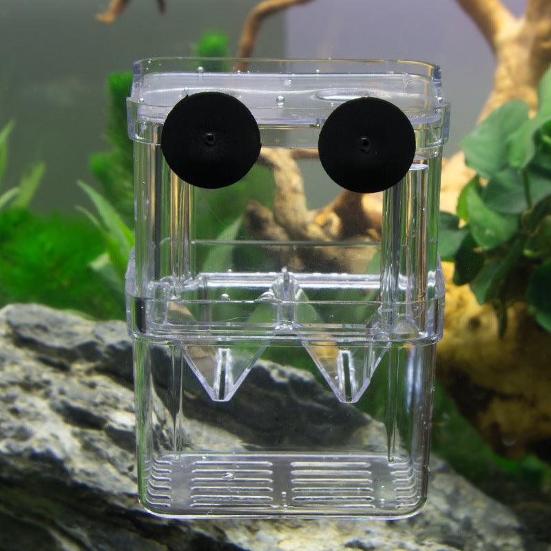 Acrylic Fish Hatchery: A Transparent Sanctuary For Juvenile Fish
