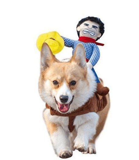 Cozy Cotton Canine Attire